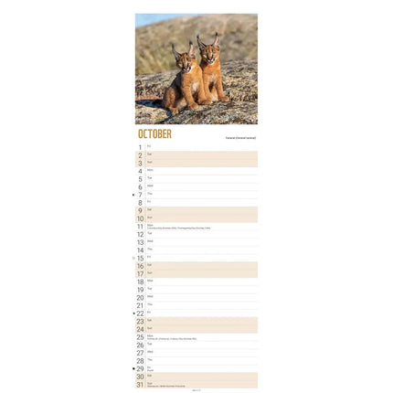 CarouselCalendars WWF Baby Animals Slimline Kalender 2027