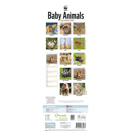 CarouselCalendars WWF Baby Animals Slimline Kalender 2027
