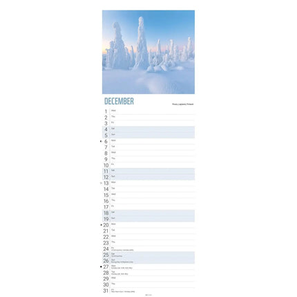 CarouselCalendars WWF Beautiful World Slimline Kalender 2027