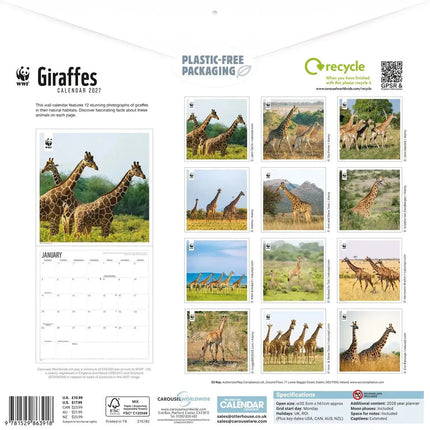 CarouselCalendars WWF Giraffe Kalender 2027
