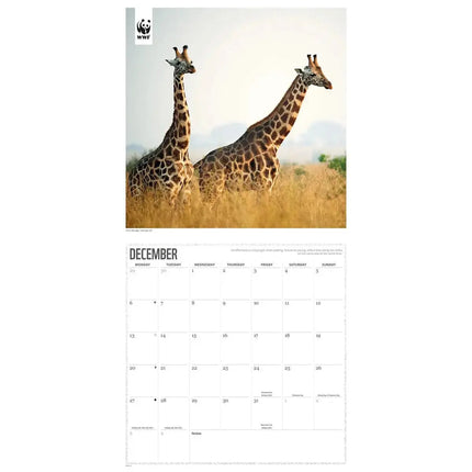 CarouselCalendars WWF Giraffe Kalender 2027