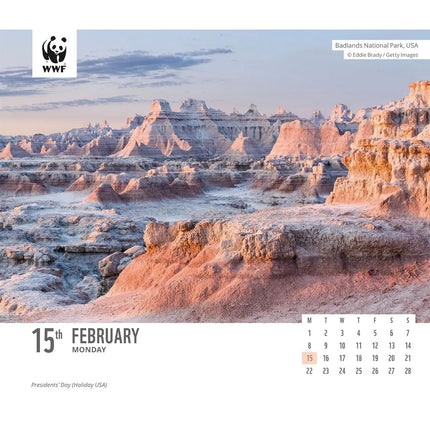 CarouselCalendars WWF Natural World Kalender 2027 Boxed