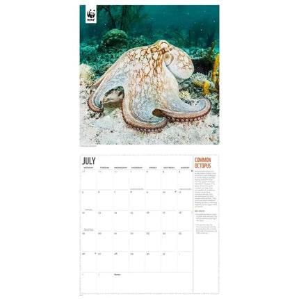 CarouselCalendars WWF Oceans Kalender 2027
