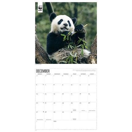 CarouselCalendars WWF Panda's Kalender 2027