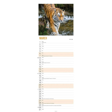 CarouselCalendars WWF Tijger Kalender 2027 Slimline