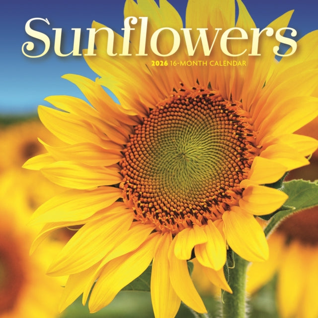 CarouselCalendars Zonnebloemen Kalender 2026 Mini