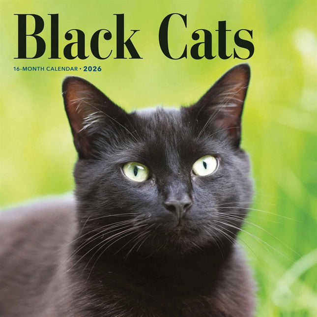 CarouselCalendars Zwarte Katten Kalender 2026