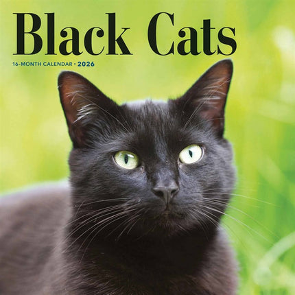 CarouselCalendars Zwarte Katten Kalender 2026