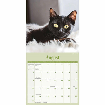 CarouselCalendars Zwarte Katten Kalender 2026