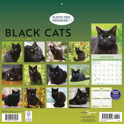 CarouselCalendars Zwarte Katten Kalender 2026