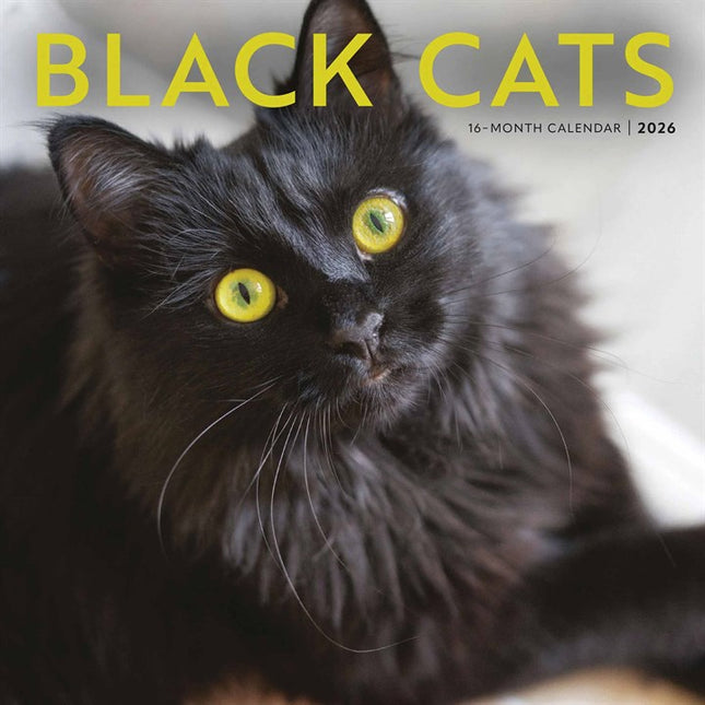 CarouselCalendars Zwarte Katten Kalender 2026
