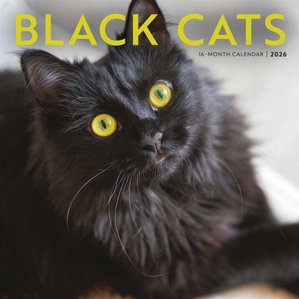 CarouselCalendars Zwarte Katten Kalender 2026