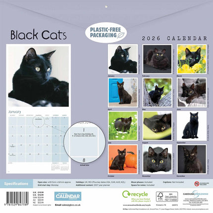 CarouselCalendars Zwarte Katten Kalender 2027