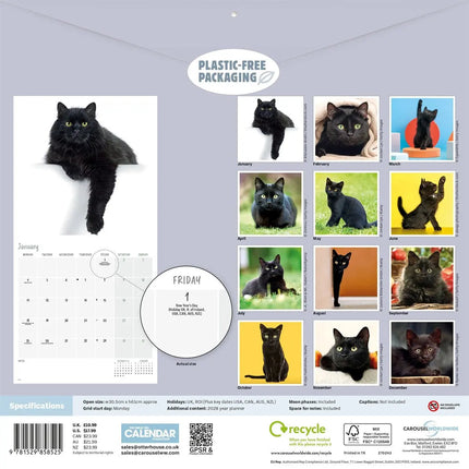 CarouselCalendars Zwarte Katten Kalender 2027