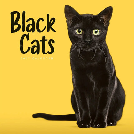 CarouselCalendars Zwarte Katten Kalender 2027