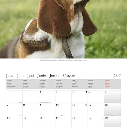 Cartilia Honden Kalender 2027