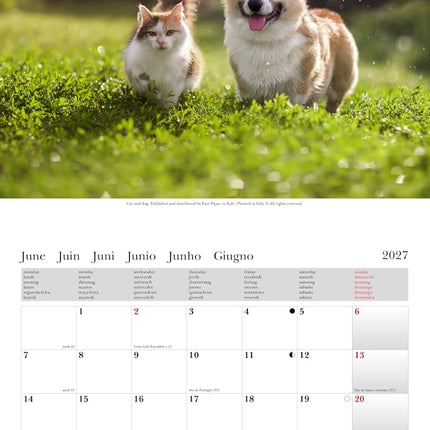Cartilia Katten en Honden Kalender 2027