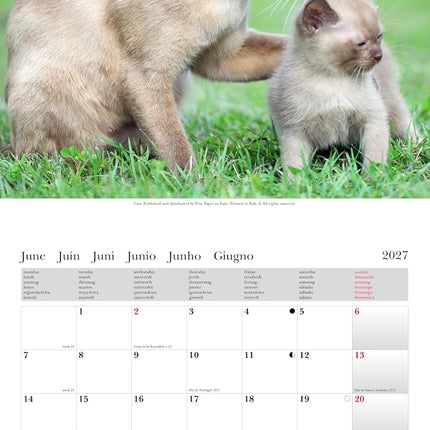Cartilia Katten Kalender 2027