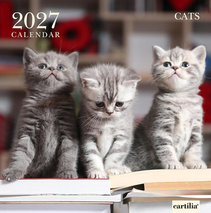 Cartilia Katten Kalender 2027