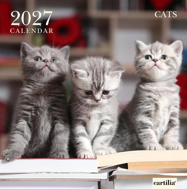 Cartilia Katten Kalender 2027
