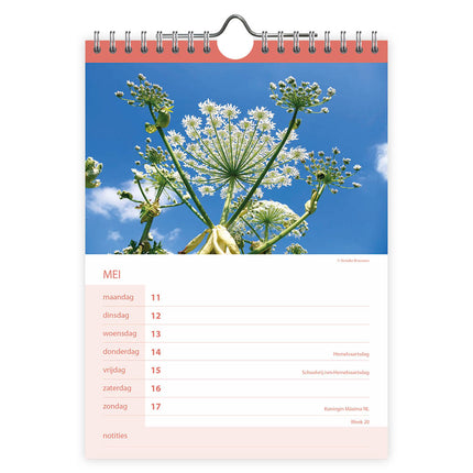 Comello Bloemen WEEKnotitiekalender 2026