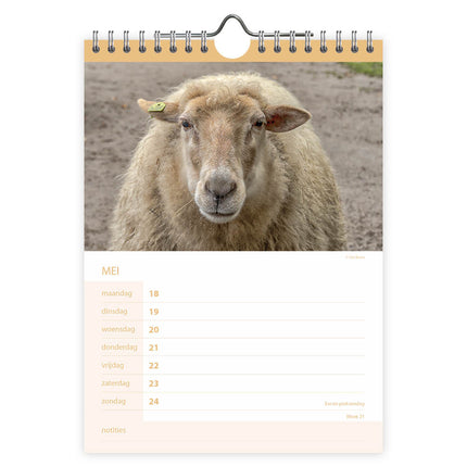 Comello Boerderijdieren WEEKnotitie Kalender 2027