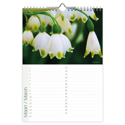 Comello Flowers Verjaardagskalender A4