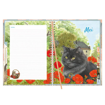 Comello Franciens Katten Bureau Agenda 2027 Blue