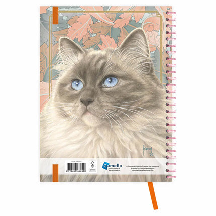 Comello Franciens Katten Bureau Agenda 2027 Blue