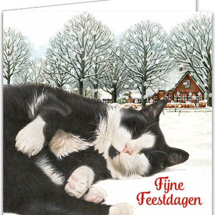 Comello Franciens Katten Kerstkaarten