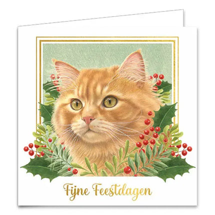 Comello Franciens Katten Kerstkaarten - Katten in de sneeuw – Jeroen
