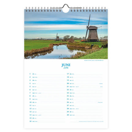 Comello Nederland Maandkalender Koeien 2027