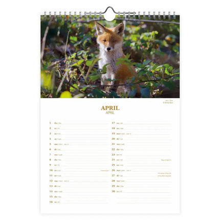 Comello Nederlandse Wildlife Kalender 2027
