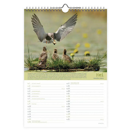 Comello Vogel Kalender 2027