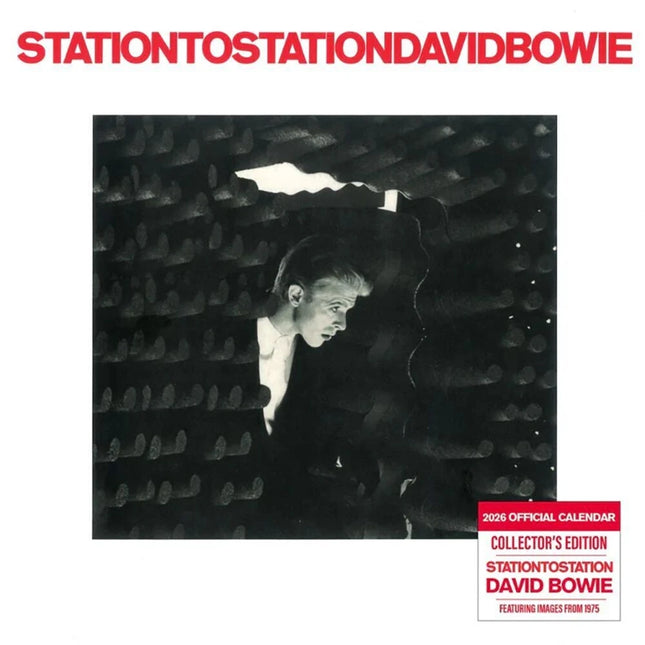 Danilo David Bowie Kalender 2026 Record Sleeve