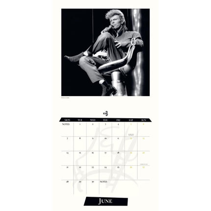 Danilo David Bowie Kalender 2027 Record Sleeve