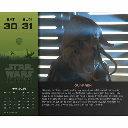 Danilo Disney Star Wars Boxed Kalender 2026