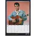 Danilo Elvis Presley Kalender 2027 A3