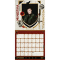 Danilo Harry Potter Kalender 2027