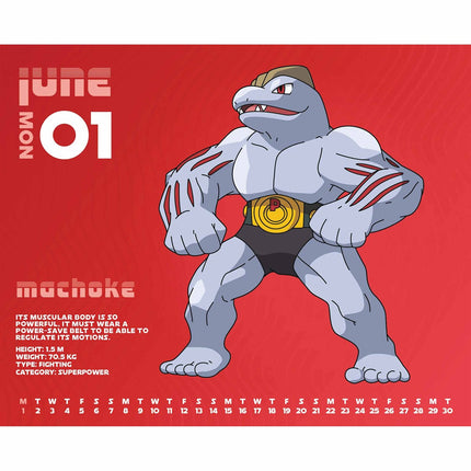 Danilo Pokemon Boxed Kalender 2027
