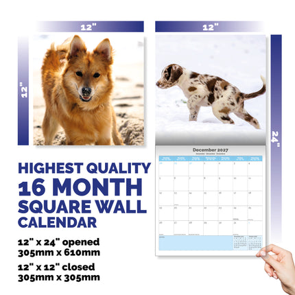 Dayplanner Adorable Dogs Kalender 2027