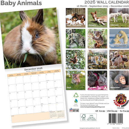 Dayplanner Baby Dieren Kalender 2026