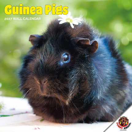 Dayplanner Cavia Kalender 2027