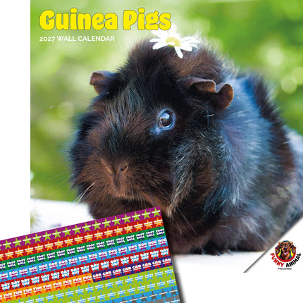 Dayplanner Cavia Kalender 2027