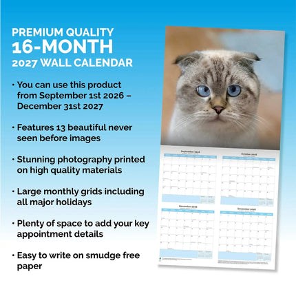 Dayplanner Grumpy Cat Kalender 2027