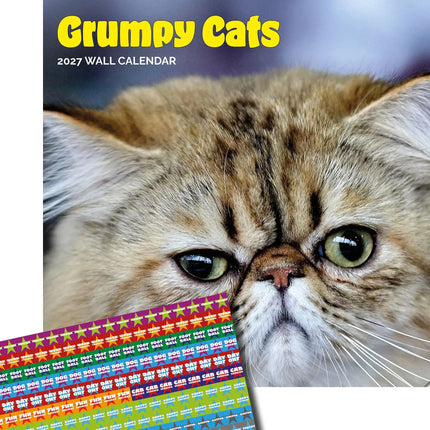 Dayplanner Grumpy Cat Kalender 2027