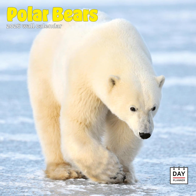 Dayplanner IJsberen Kalender 2027