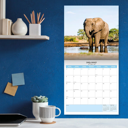 Dayplanner Olifanten Kalender 2027