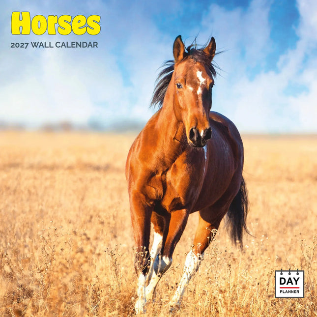 Dayplanner Paarden Kalender 2026
