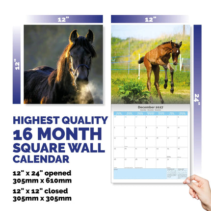 Dayplanner Paarden Kalender 2026